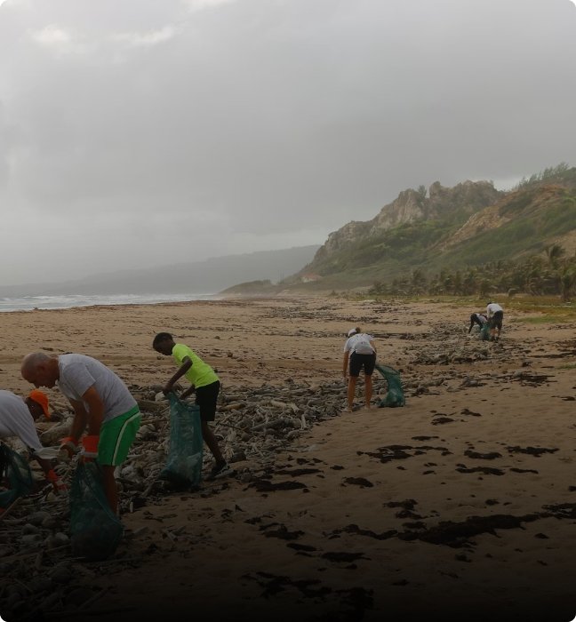 Beach Cleanup