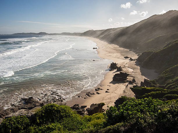 beach cleaning initiative