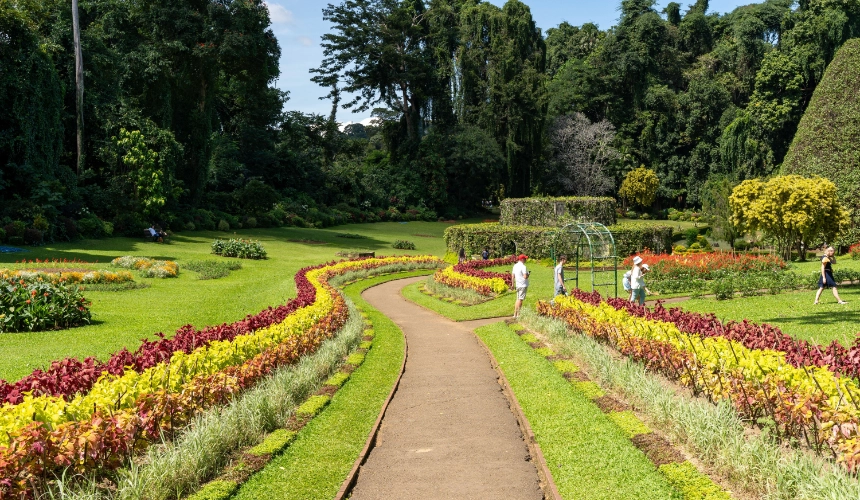 Royal Botanical Gardens, Peradeniya